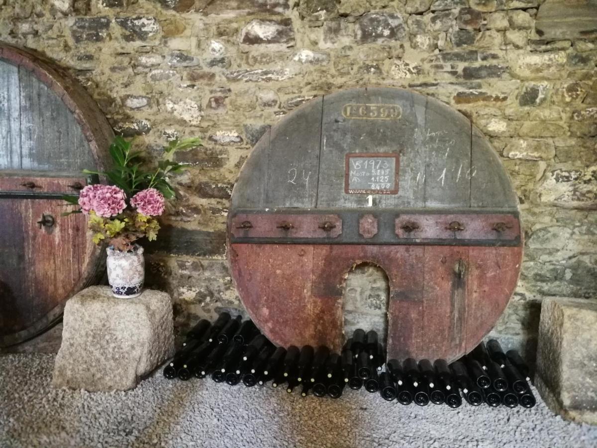 Quinta Do Fojo Bed & Breakfast Lamego Dış mekan fotoğraf