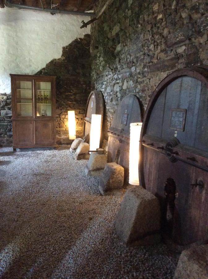 Quinta Do Fojo Bed & Breakfast Lamego Dış mekan fotoğraf