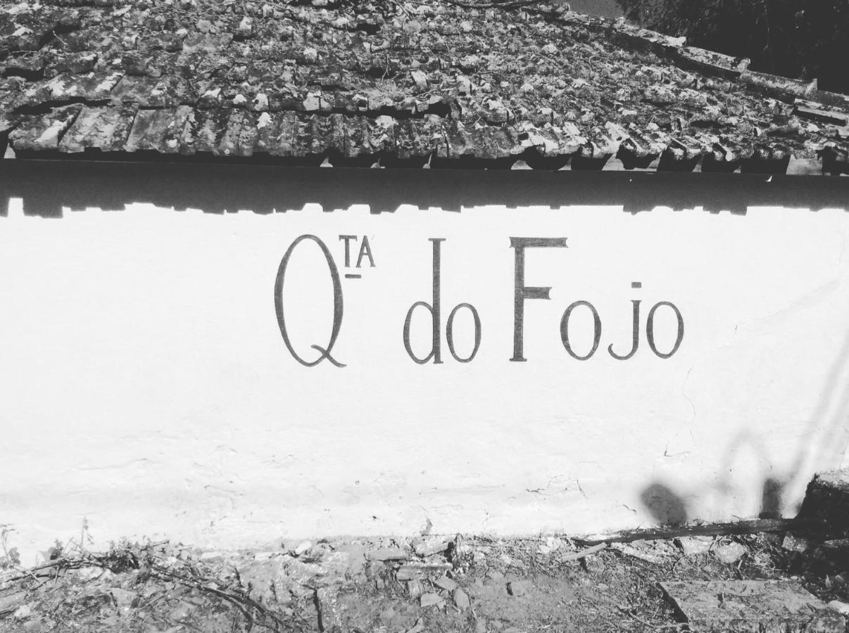 Quinta Do Fojo Bed & Breakfast Lamego Dış mekan fotoğraf