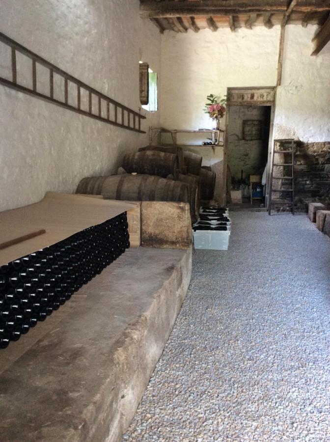 Quinta Do Fojo Bed & Breakfast Lamego Dış mekan fotoğraf