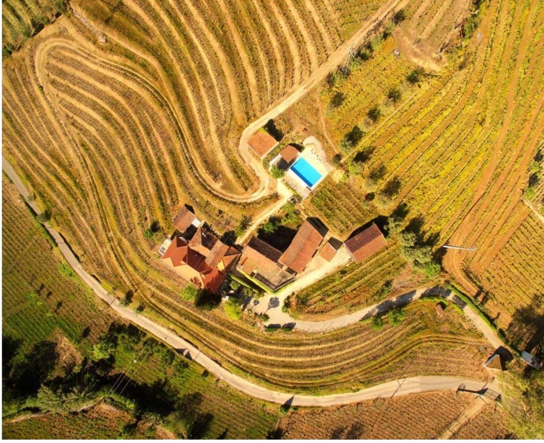 Quinta Do Fojo Bed & Breakfast Lamego Dış mekan fotoğraf