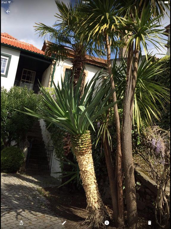 Quinta Do Fojo Bed & Breakfast Lamego Dış mekan fotoğraf