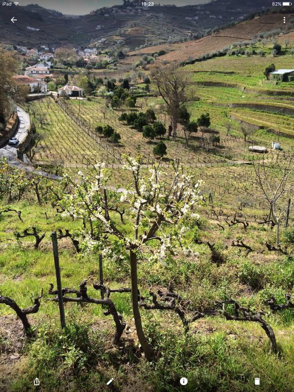 Quinta Do Fojo Bed & Breakfast Lamego Dış mekan fotoğraf