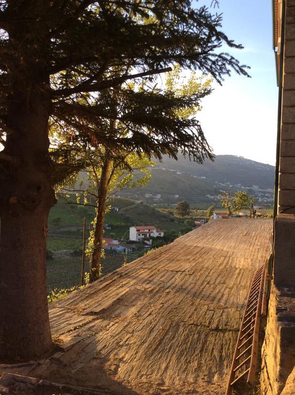 Quinta Do Fojo Bed & Breakfast Lamego Dış mekan fotoğraf