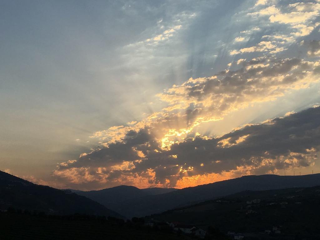 Quinta Do Fojo Bed & Breakfast Lamego Dış mekan fotoğraf