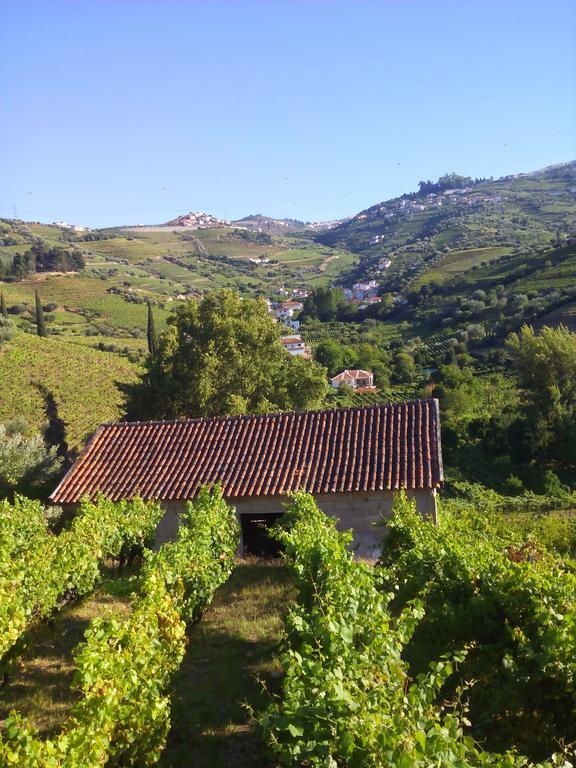 Quinta Do Fojo Bed & Breakfast Lamego Dış mekan fotoğraf