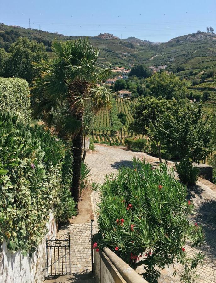 Quinta Do Fojo Bed & Breakfast Lamego Dış mekan fotoğraf